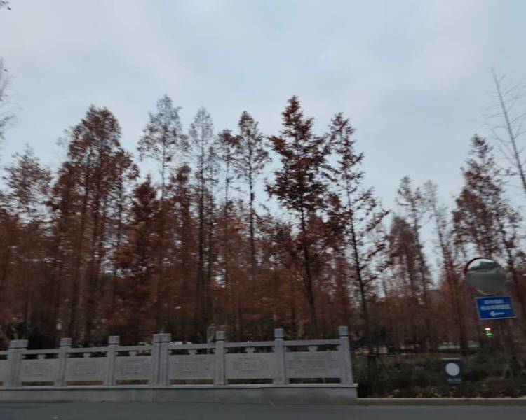 艺人背景图