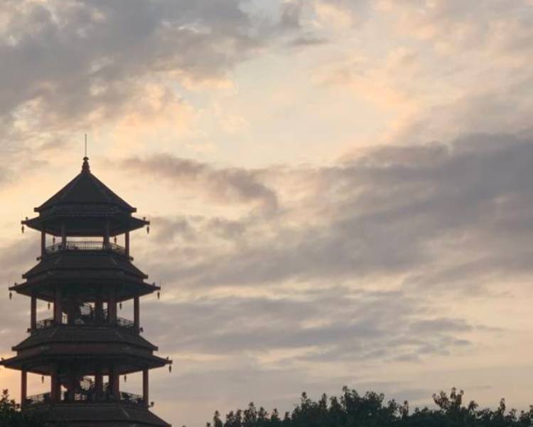 艺人背景图