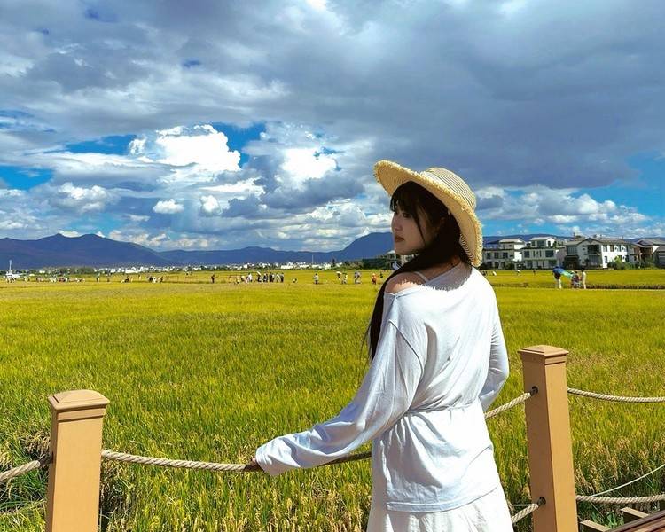 艺人背景图