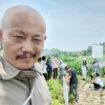 经历图片