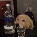 Djn的头像
