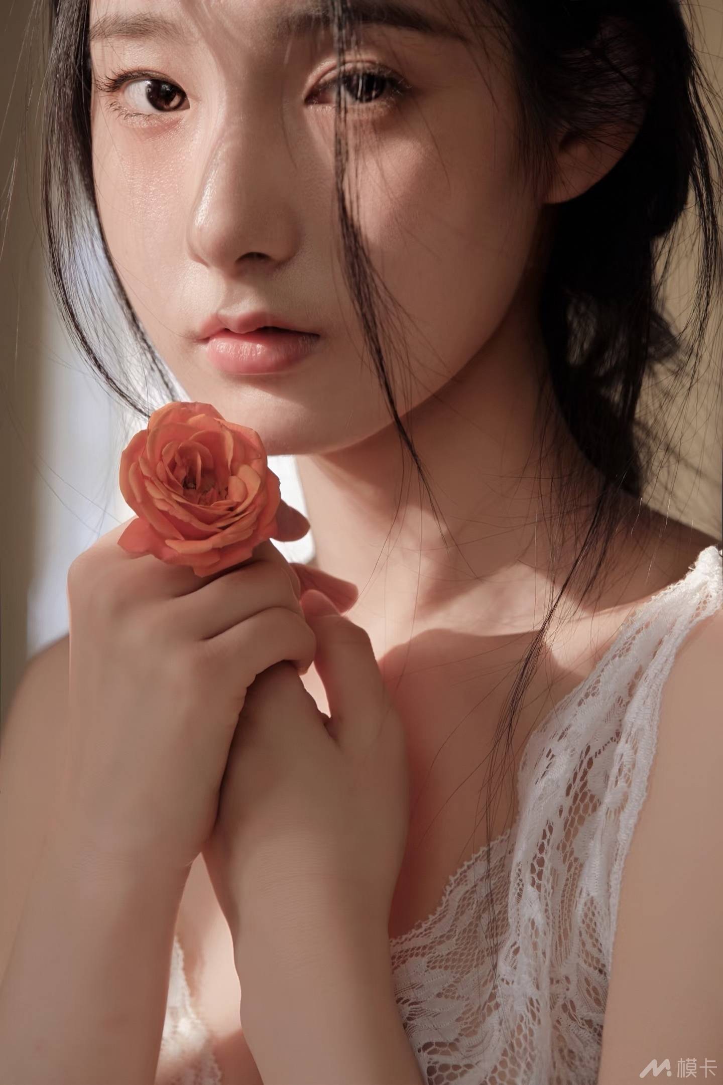 通告图片
