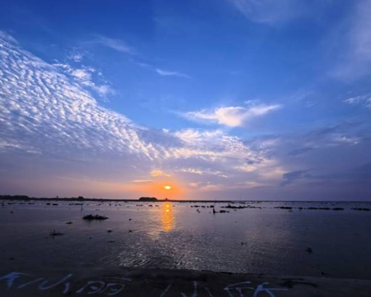 艺人背景图