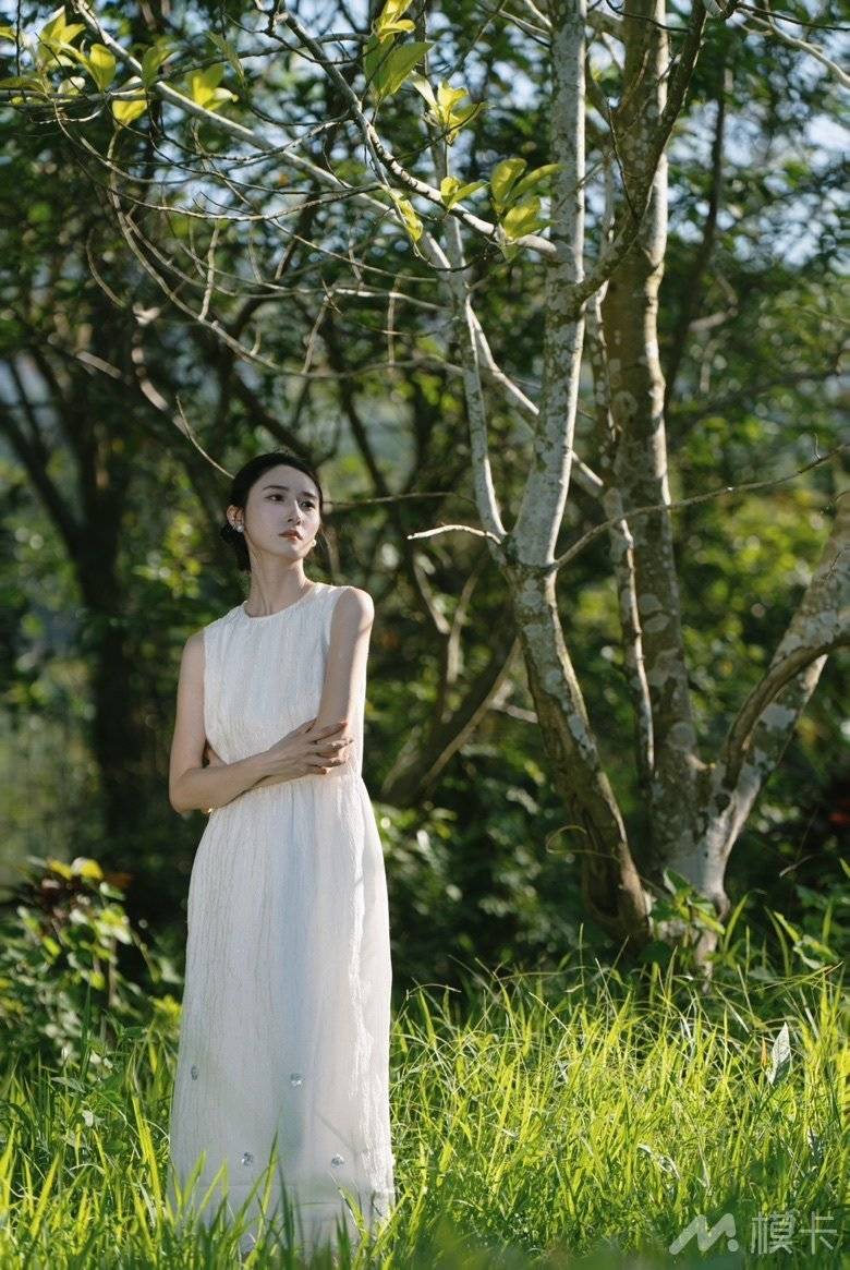 作品图片