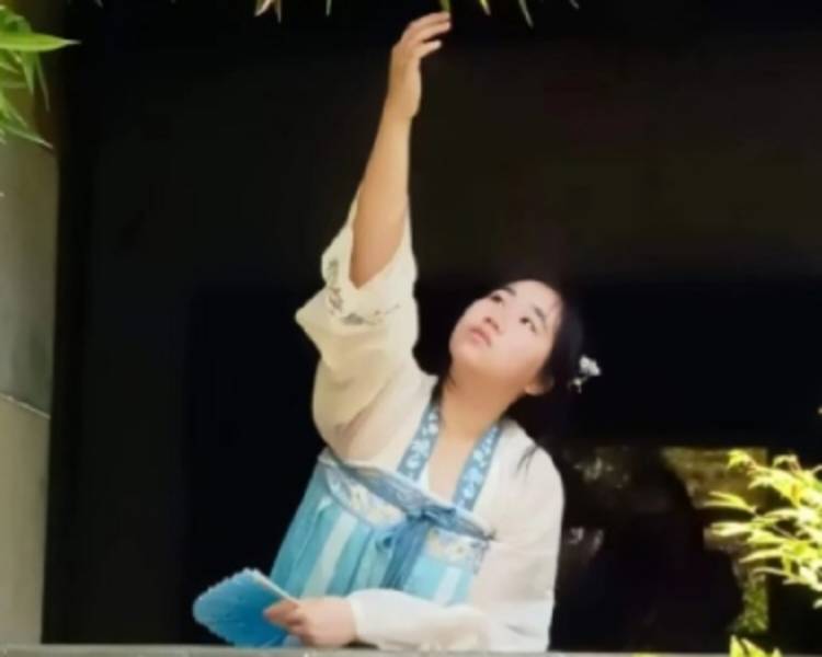 艺人背景图