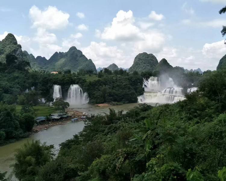 艺人背景图