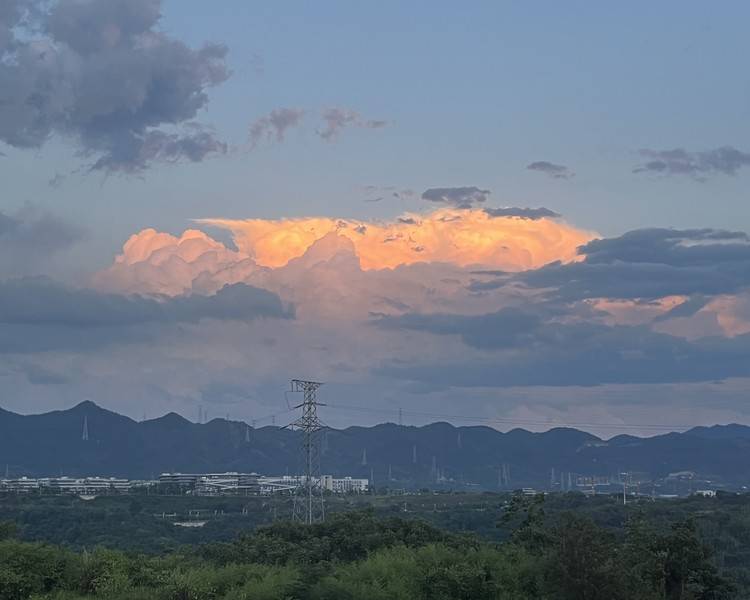 艺人背景图