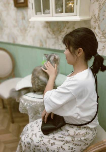 推荐艺人