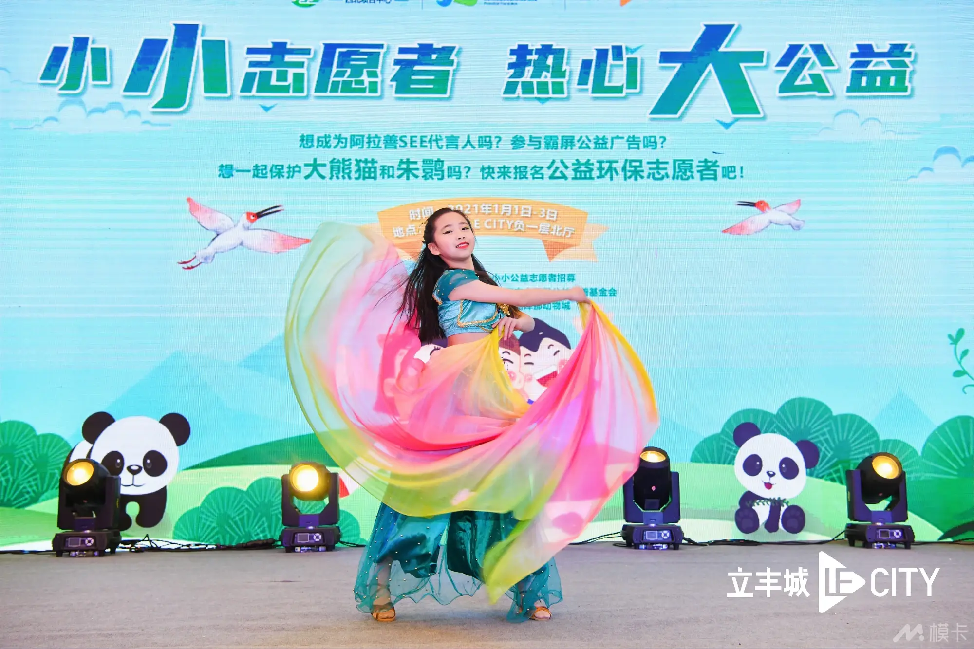 作品图片