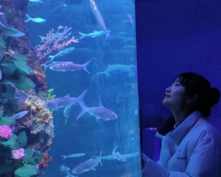 艺人背景图