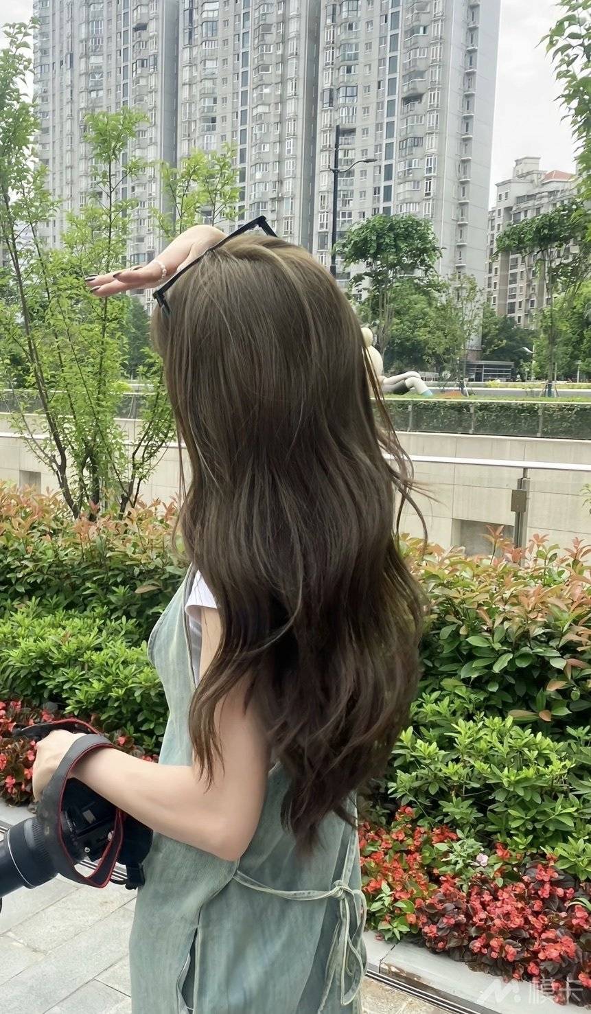 通告图片