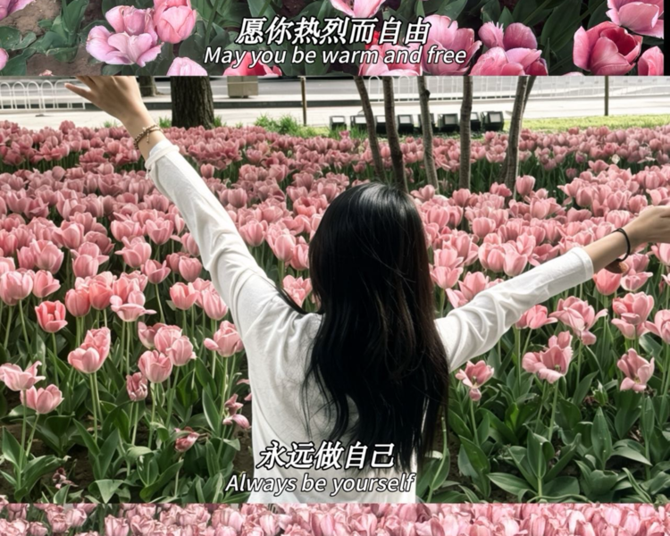 艺人背景图