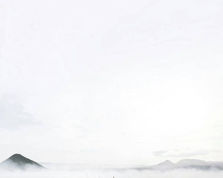 艺人背景图