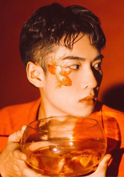 微模卡 - 模卡制作_免费制作模特卡_找模特艺人