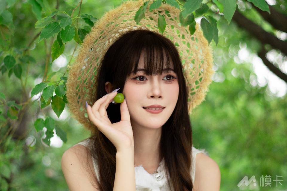 作品图片
