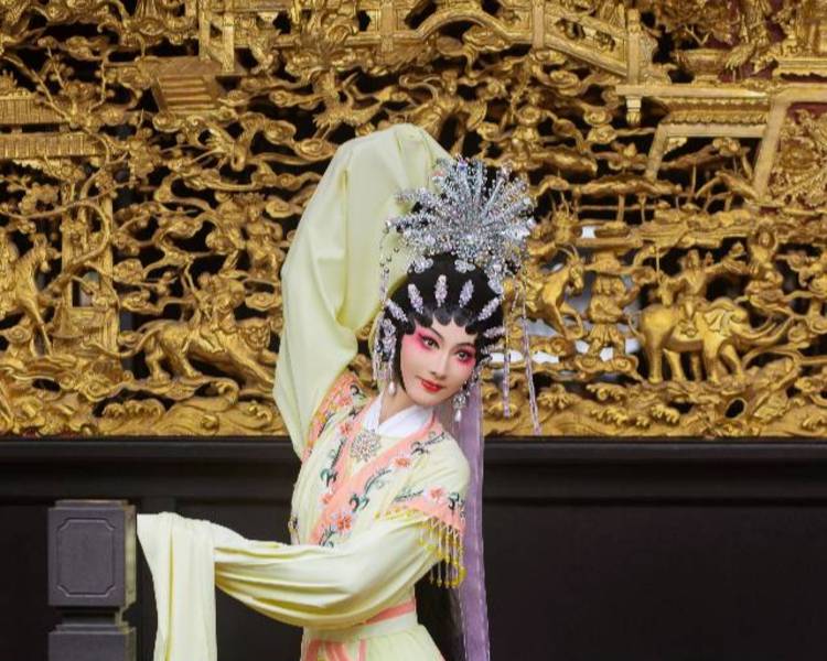 艺人背景图