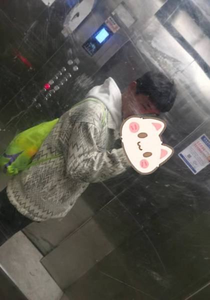 形象照片