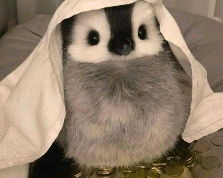艺人背景图
