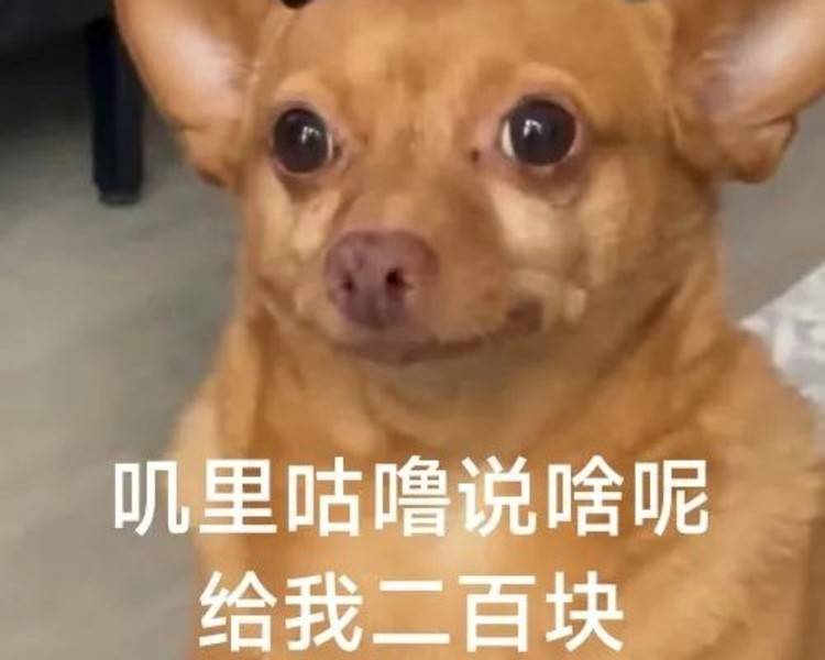 艺人背景图