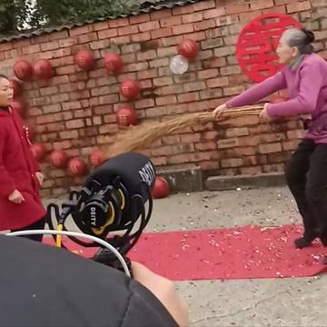经历图片