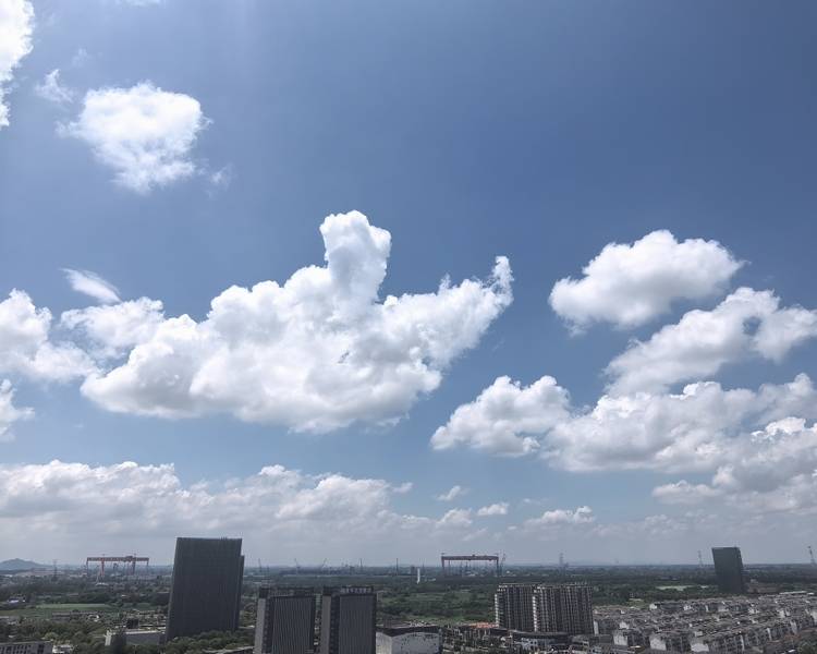 艺人背景图