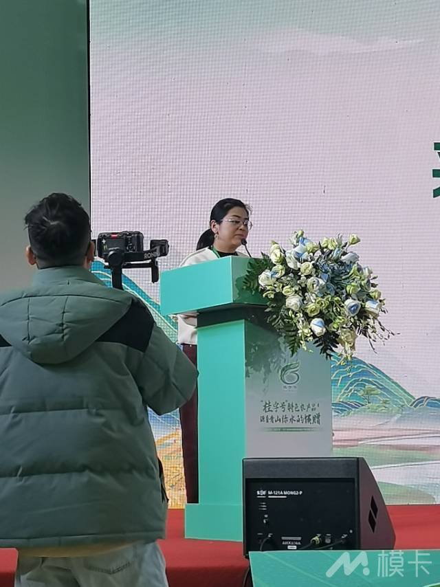 作品图片