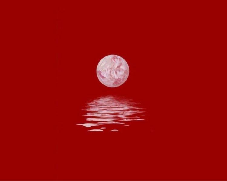 艺人背景图