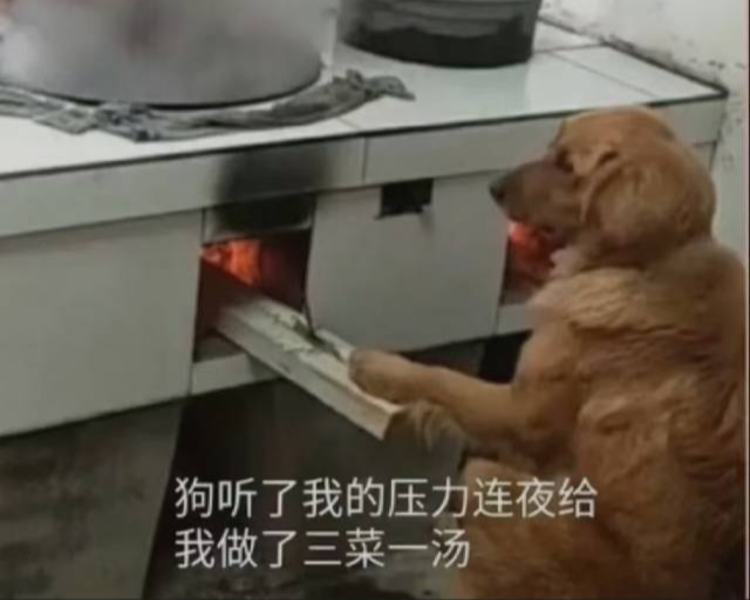 艺人背景图