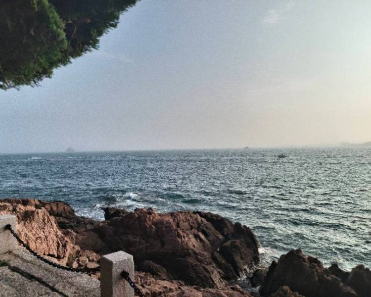 艺人背景图