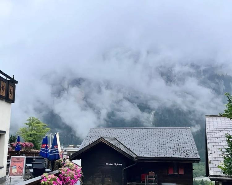 艺人背景图