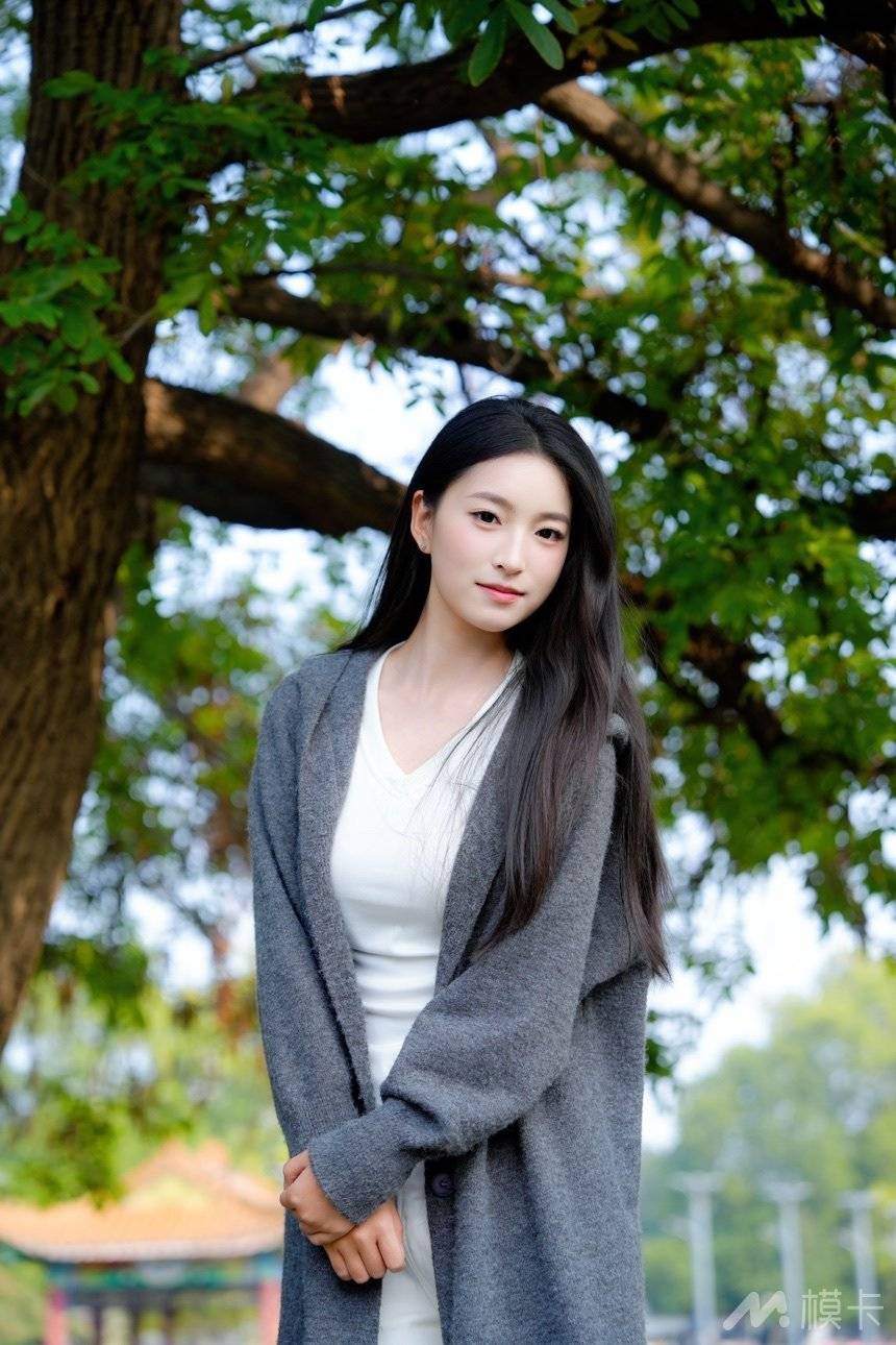 作品图片