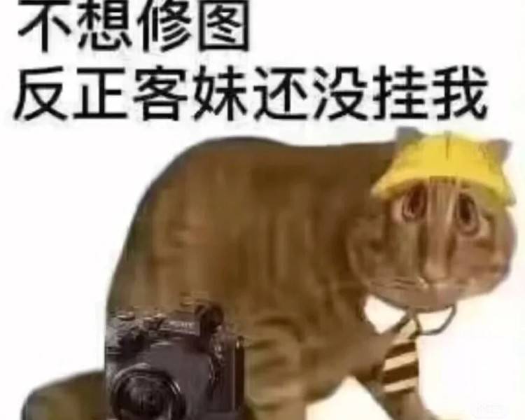 艺人背景图