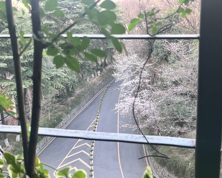 艺人背景图