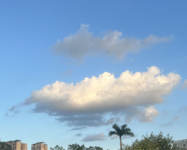 艺人背景图