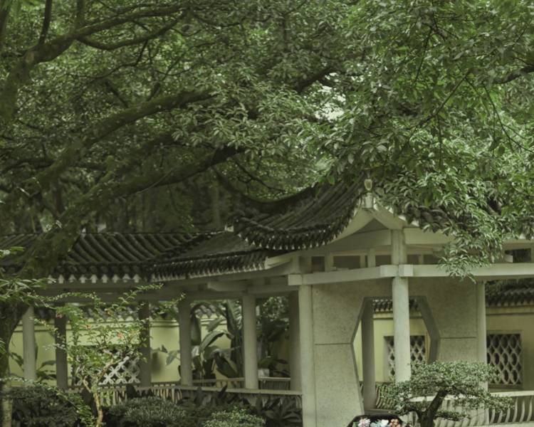 艺人背景图