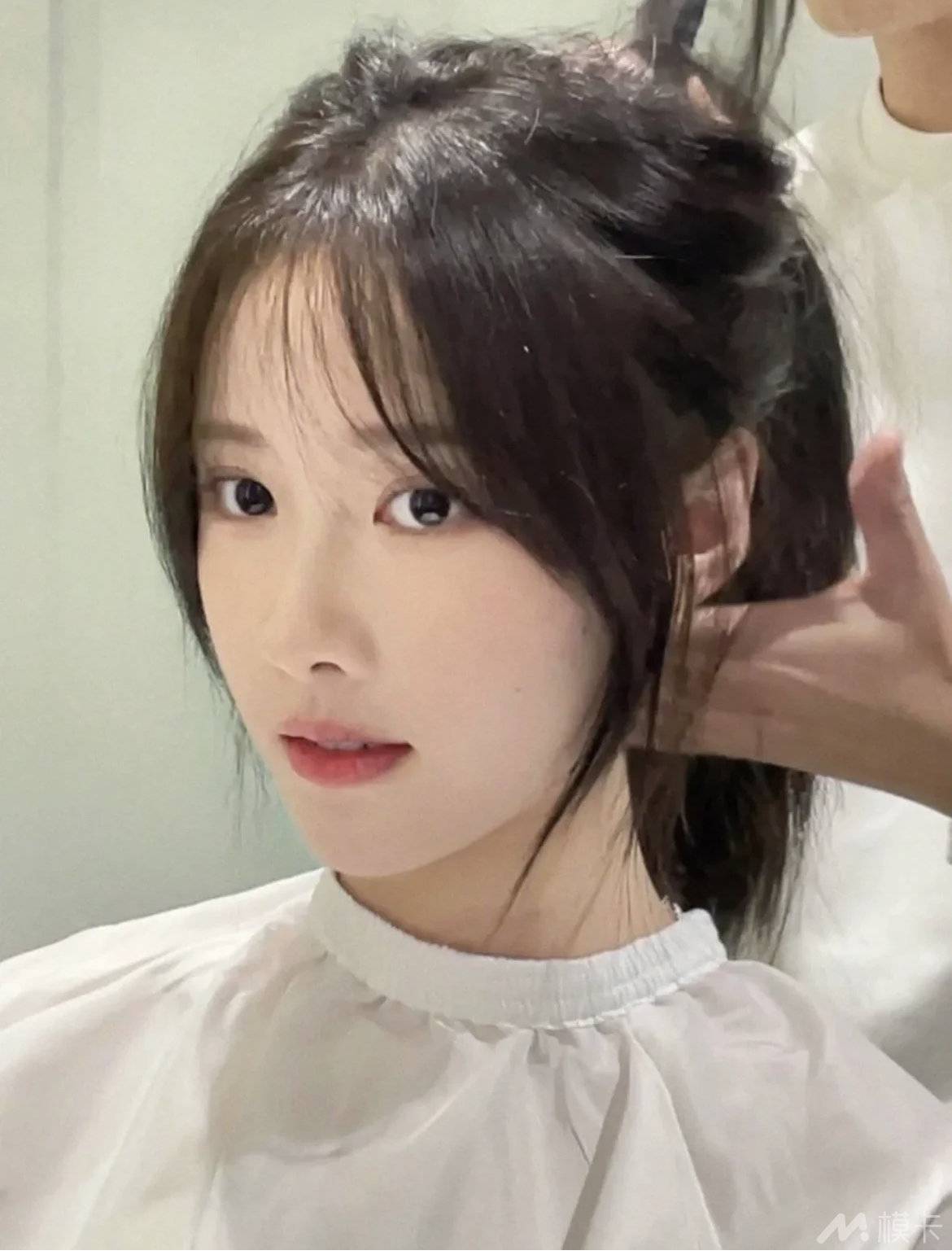 通告图片