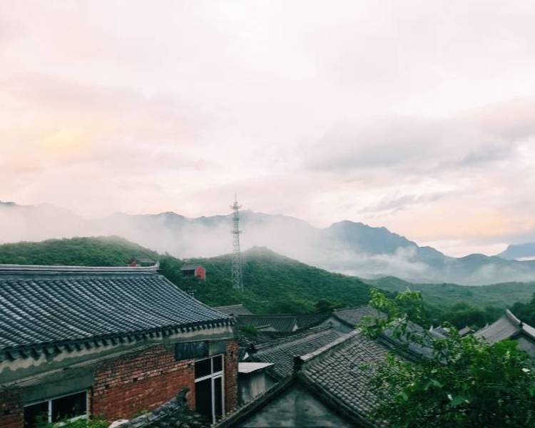 艺人背景图