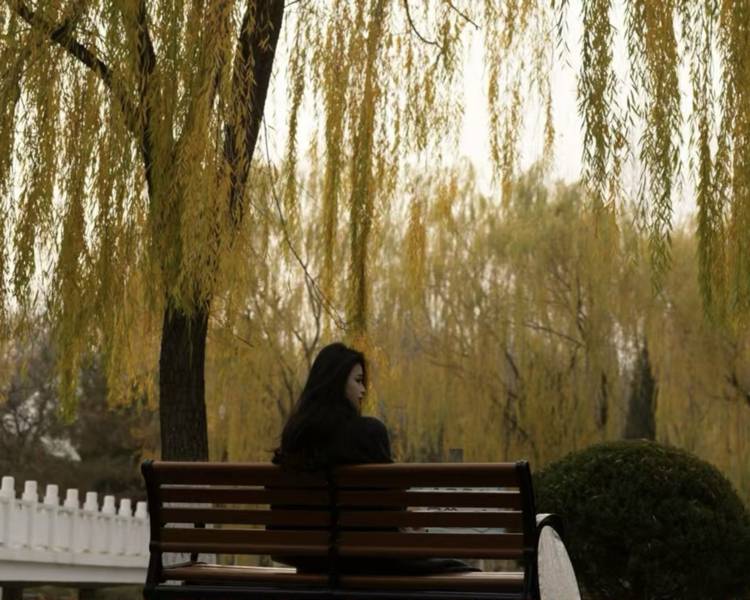 艺人背景图