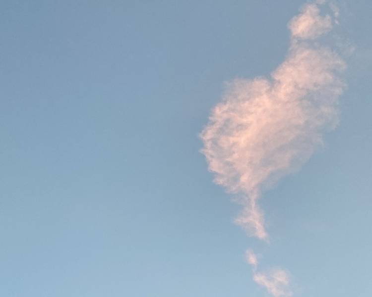 艺人背景图