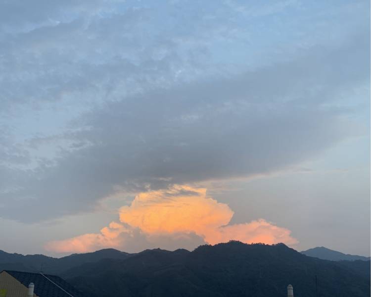 艺人背景图