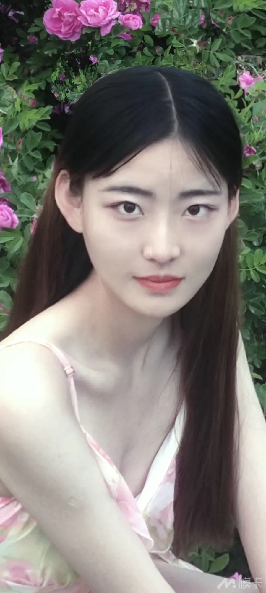 作品图片