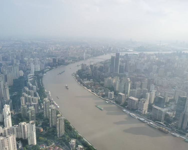 艺人背景图