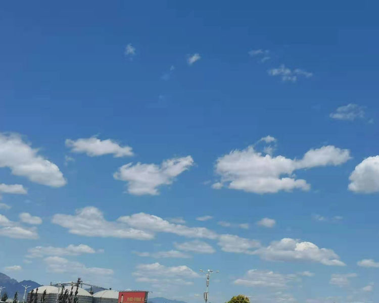 艺人背景图