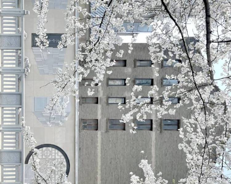 艺人背景图