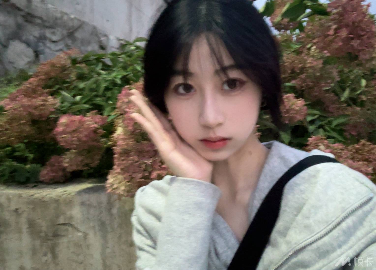 作品图片