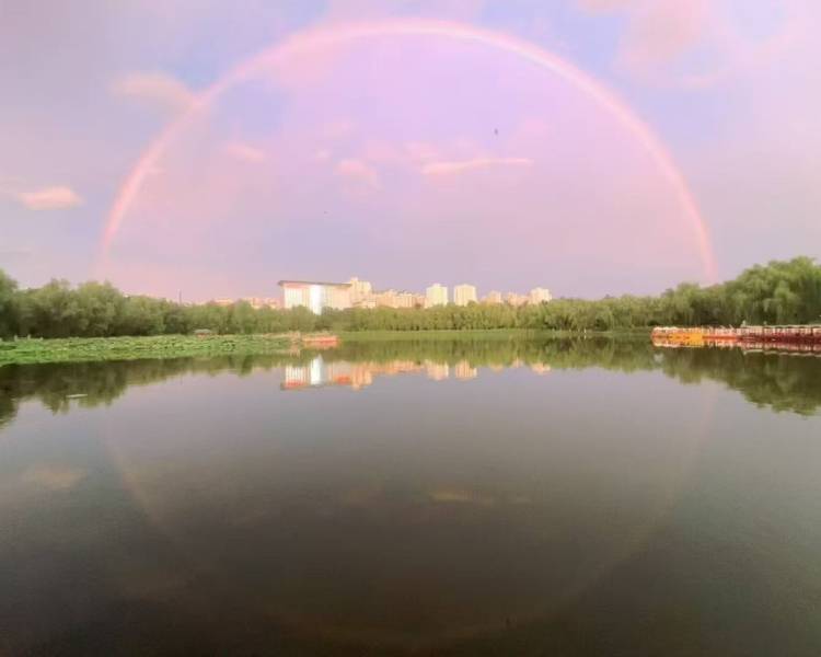 艺人背景图