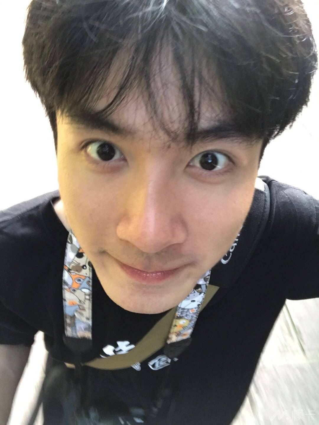 作品图片