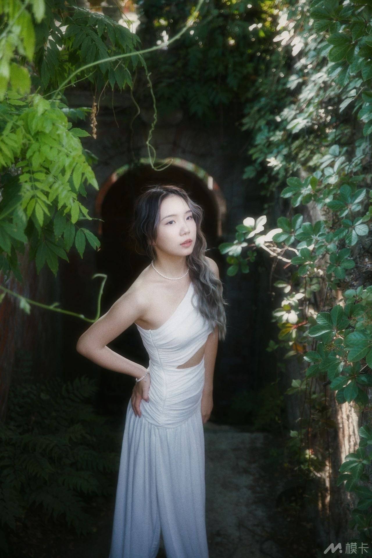 作品图片
