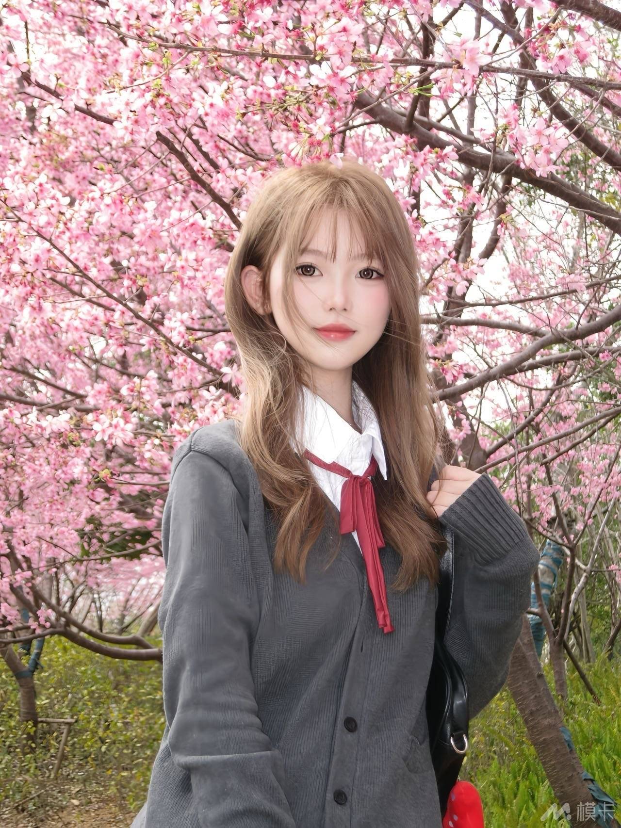 作品圖片