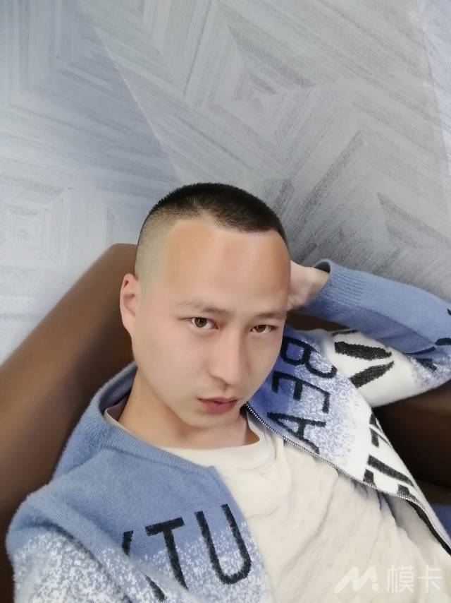作品图片